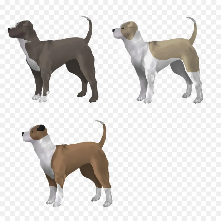 Cães，De Pé PNG