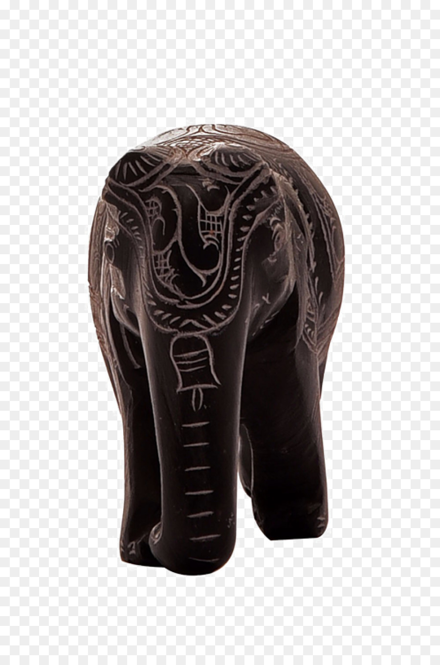 Elephantidae，Sapato PNG