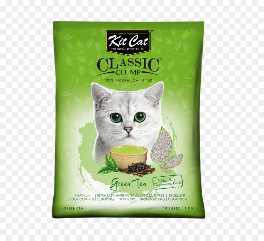 Gato，A Maca De Gato Bandejas PNG