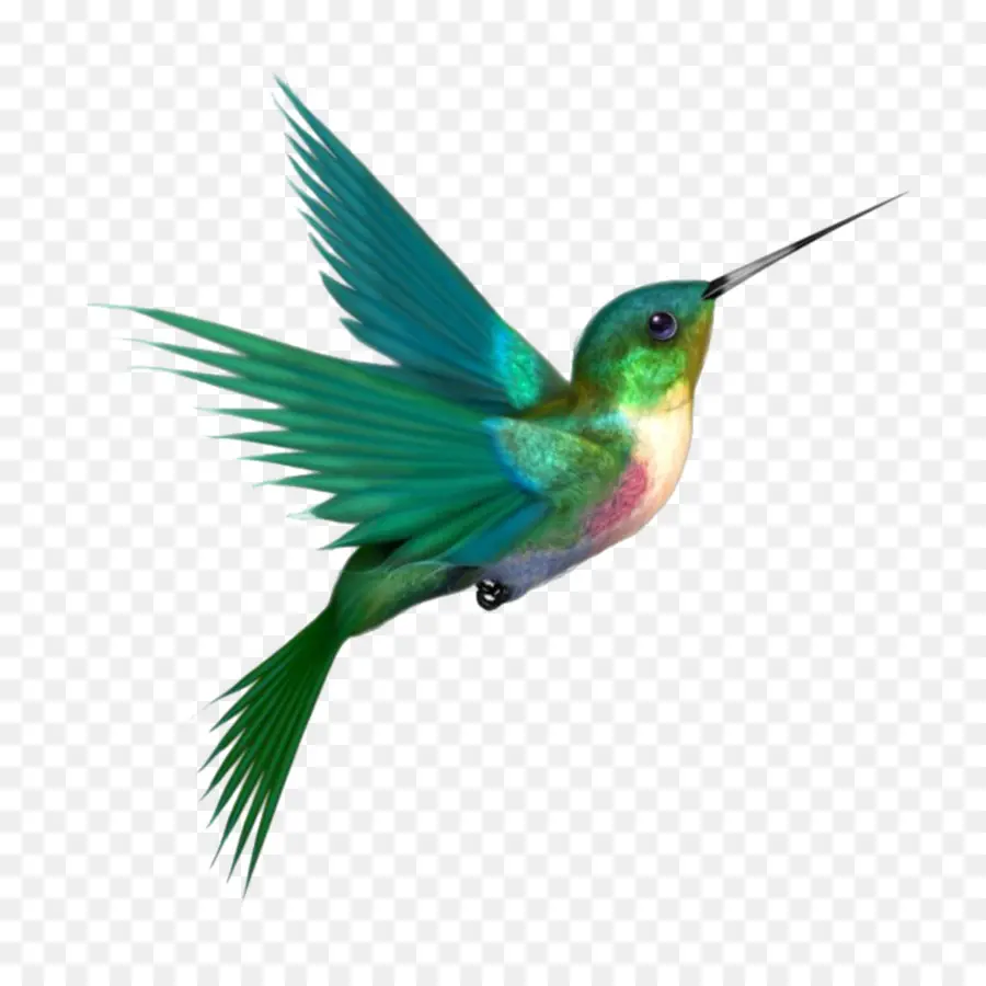 Colibri，Vôo PNG