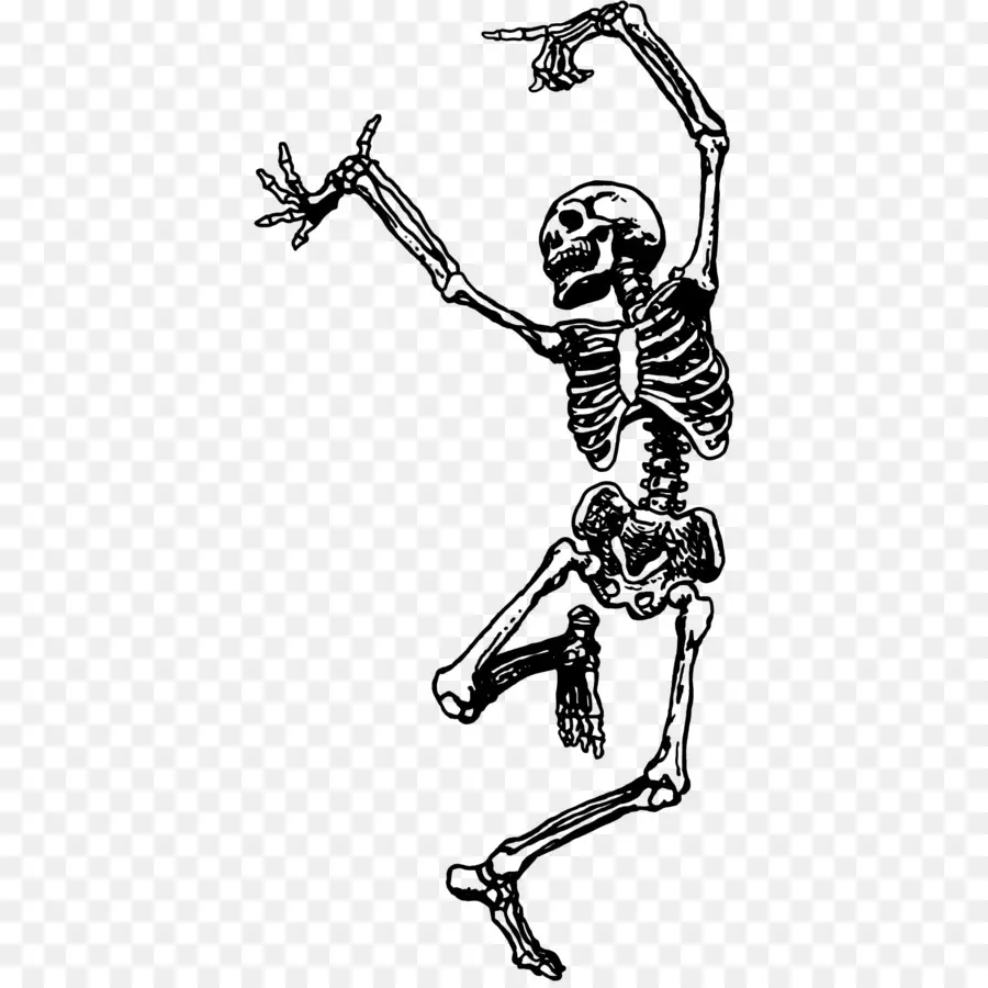 Esqueleto，Dança PNG