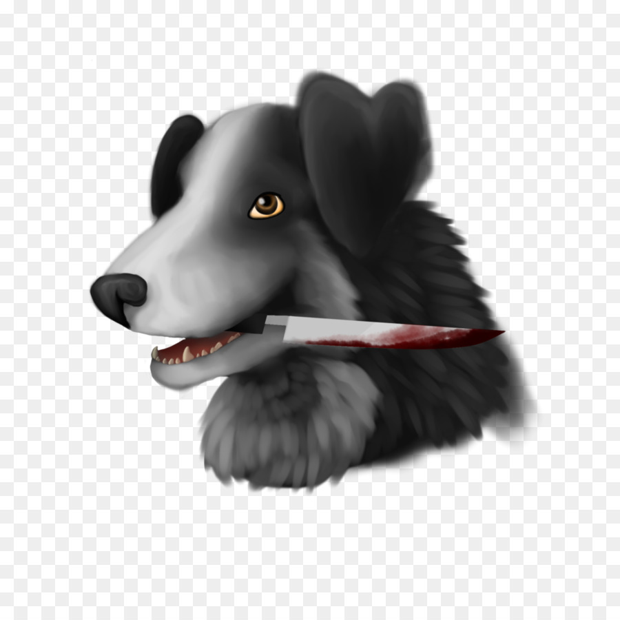 Border Collie，Raça Do Cão PNG