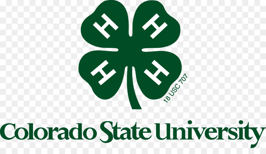 4h，Estados Unidos PNG