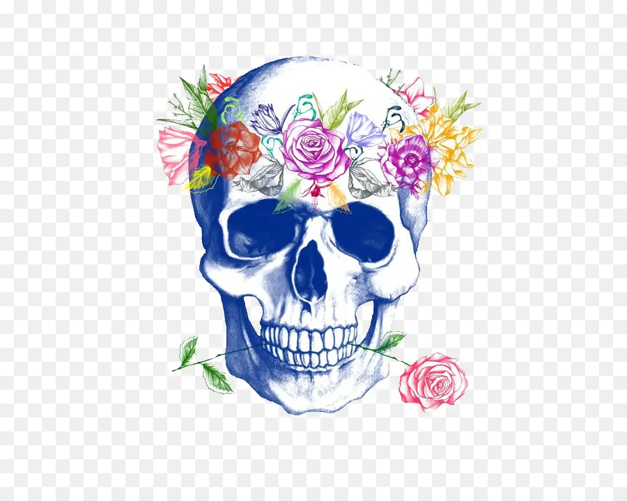 Calavera，Crânio PNG