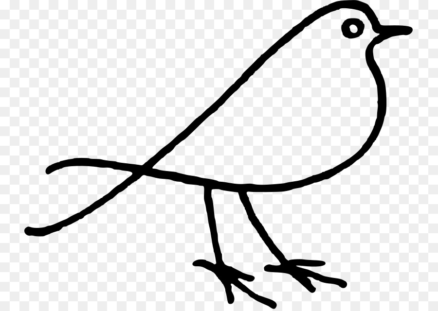Aves，Doodle PNG