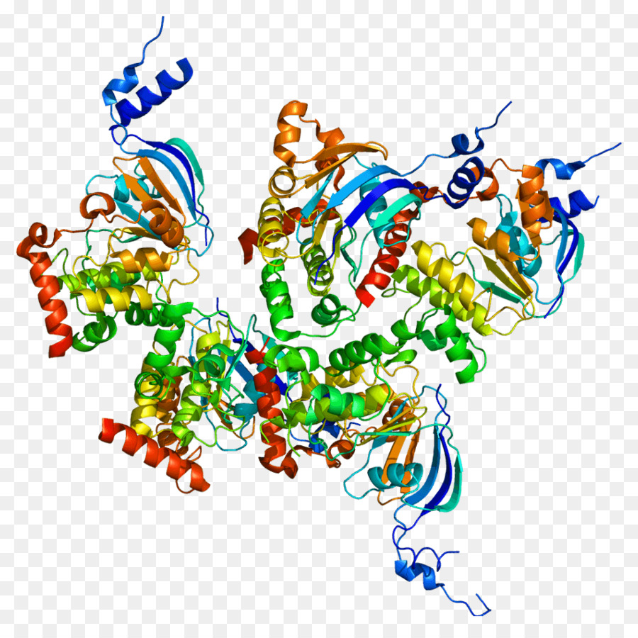 Fibrose Cística Regulador Da Condutância Transmembrana Da，Gene PNG