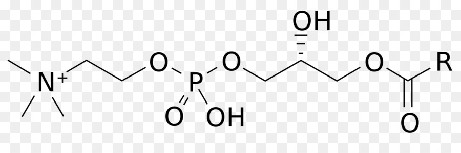 Midodrine，Hipotensão PNG