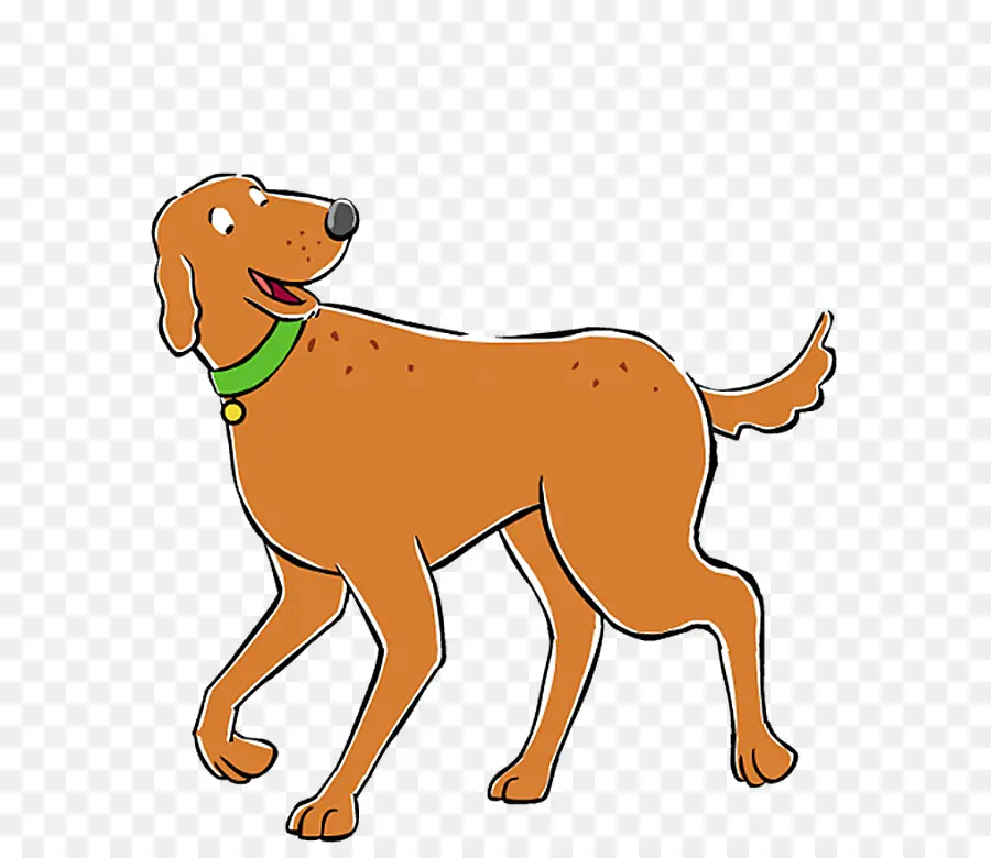 Cachorro，Filhote De Cachorro PNG