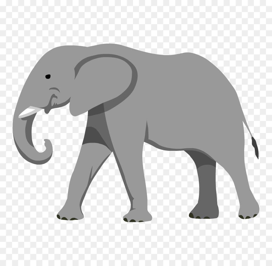 Elefante Asiático，Elephantidae PNG