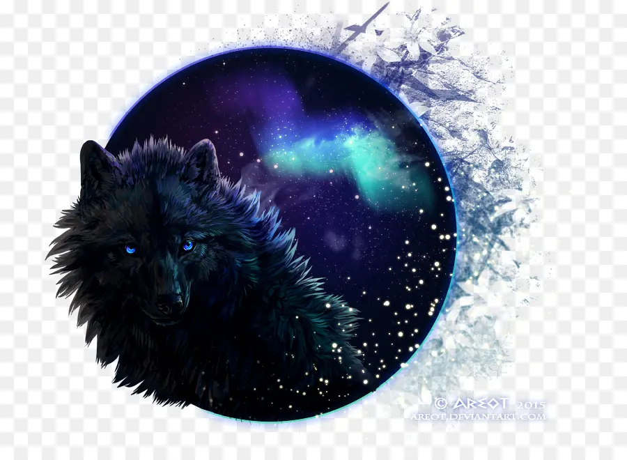 Lobo Negro，Céu Noturno PNG