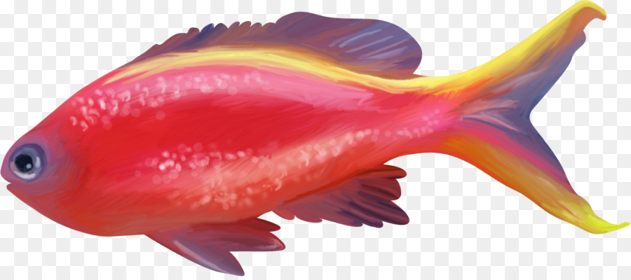 Peixinho，Peixe PNG