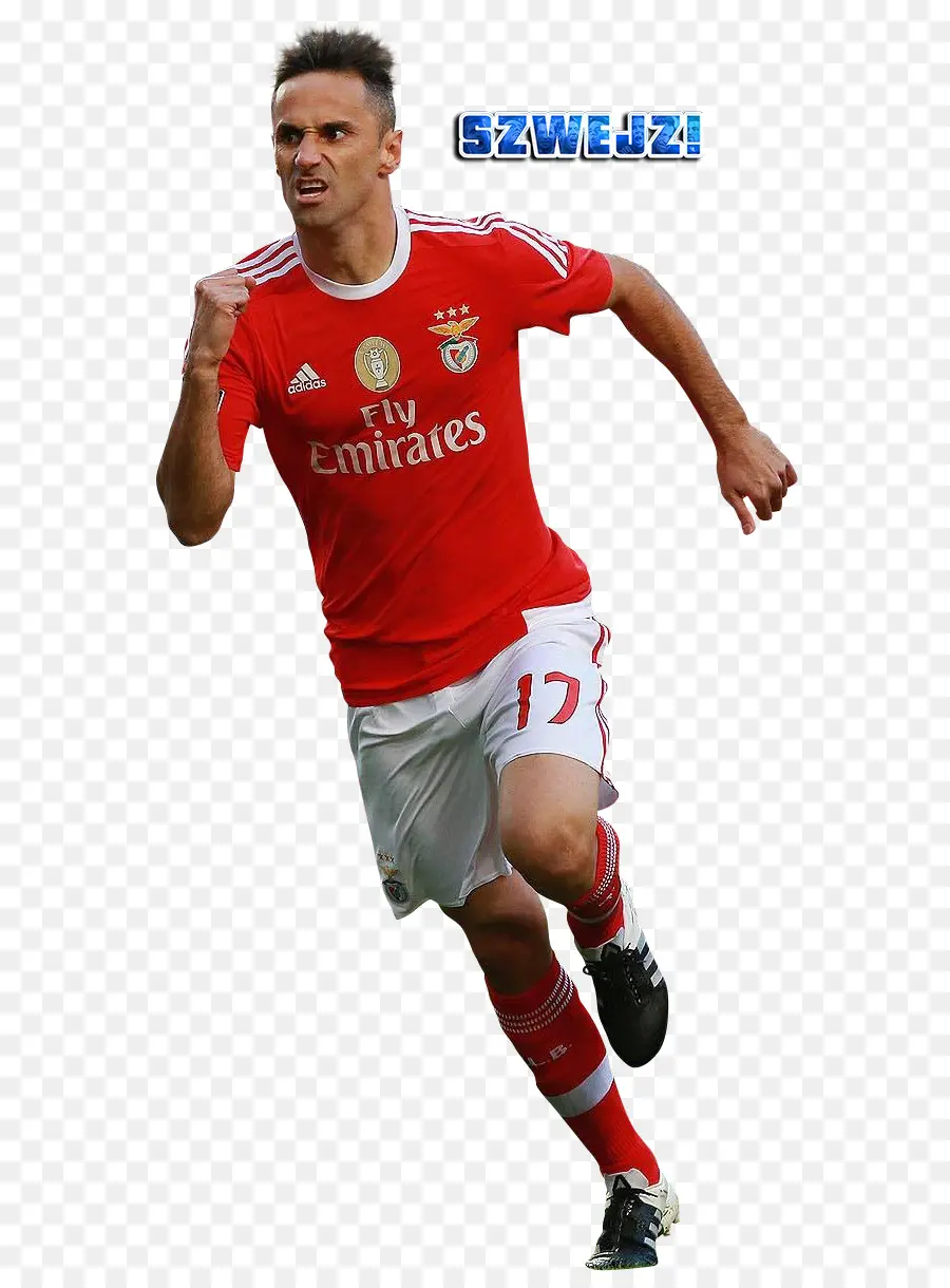 Jonas Gonçalves Oliveira，Sl Benfica PNG