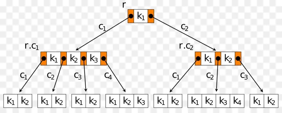 Diagrama De árvore，Estrutura PNG