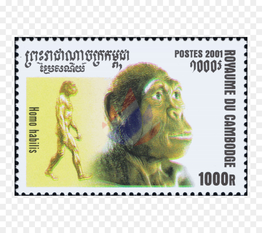Selos De Postagem，Animais PNG
