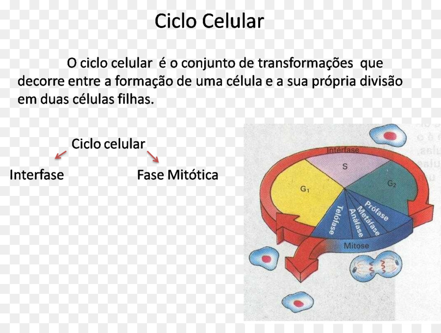 Marca，Tecnologia PNG