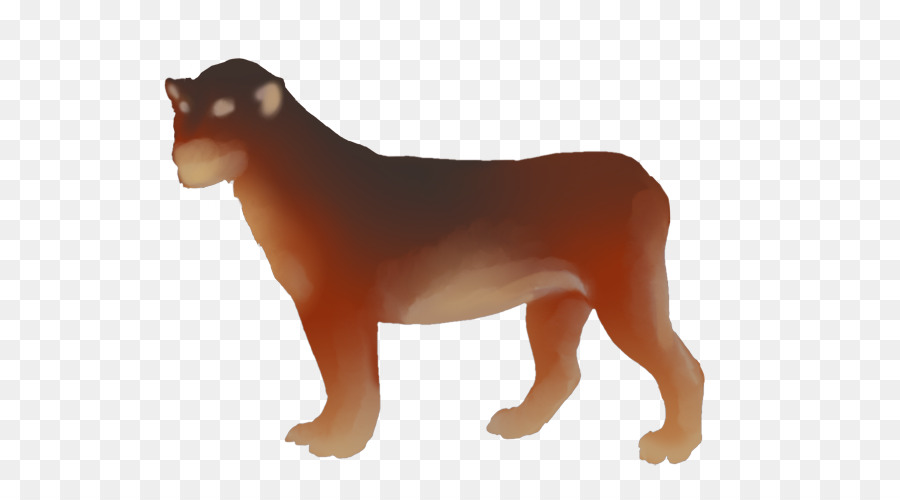 Leão，Raça Do Cão PNG