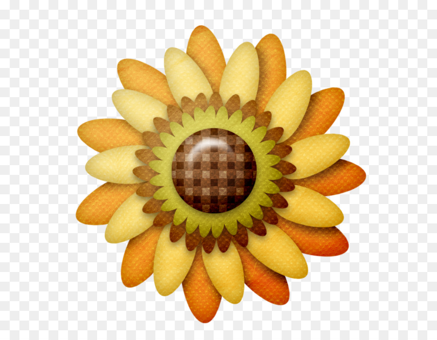 Girassol，Amarelo PNG