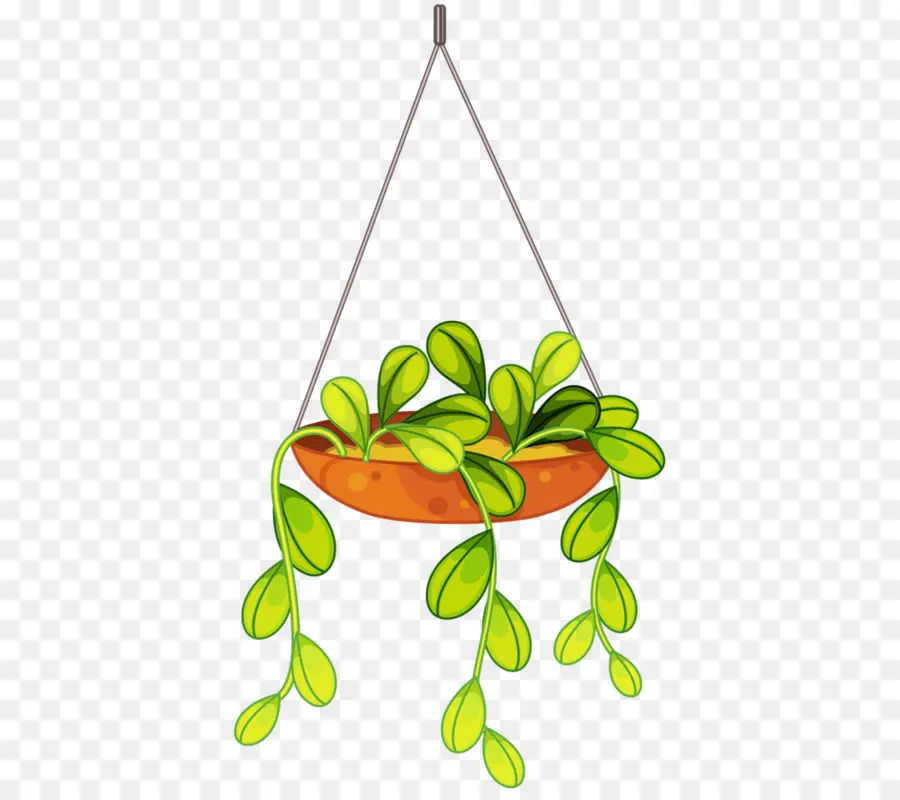 Planta Suspensa，Folhas PNG