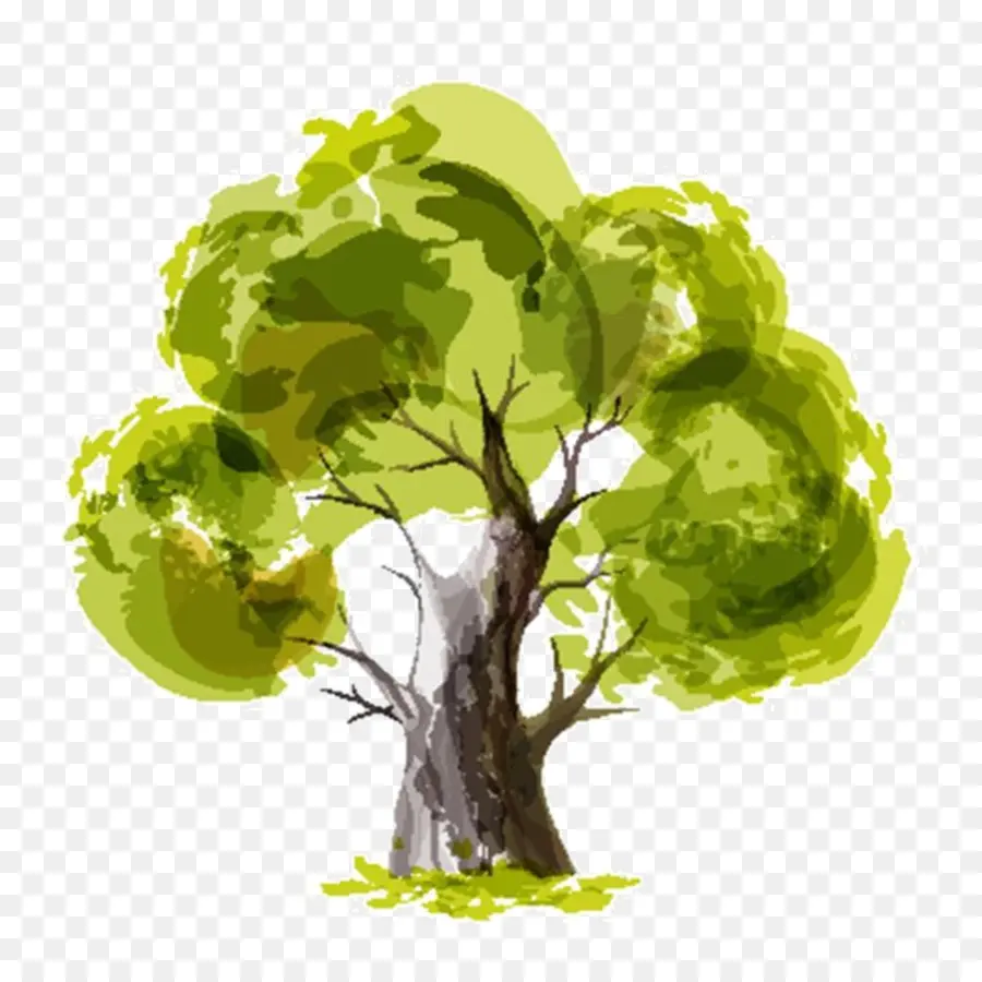 Papel，árvore PNG