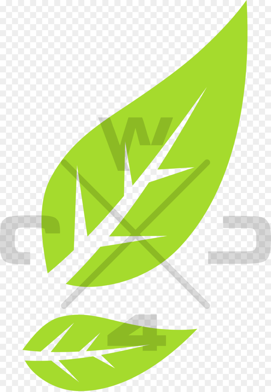 Folhas Verdes，Folha PNG