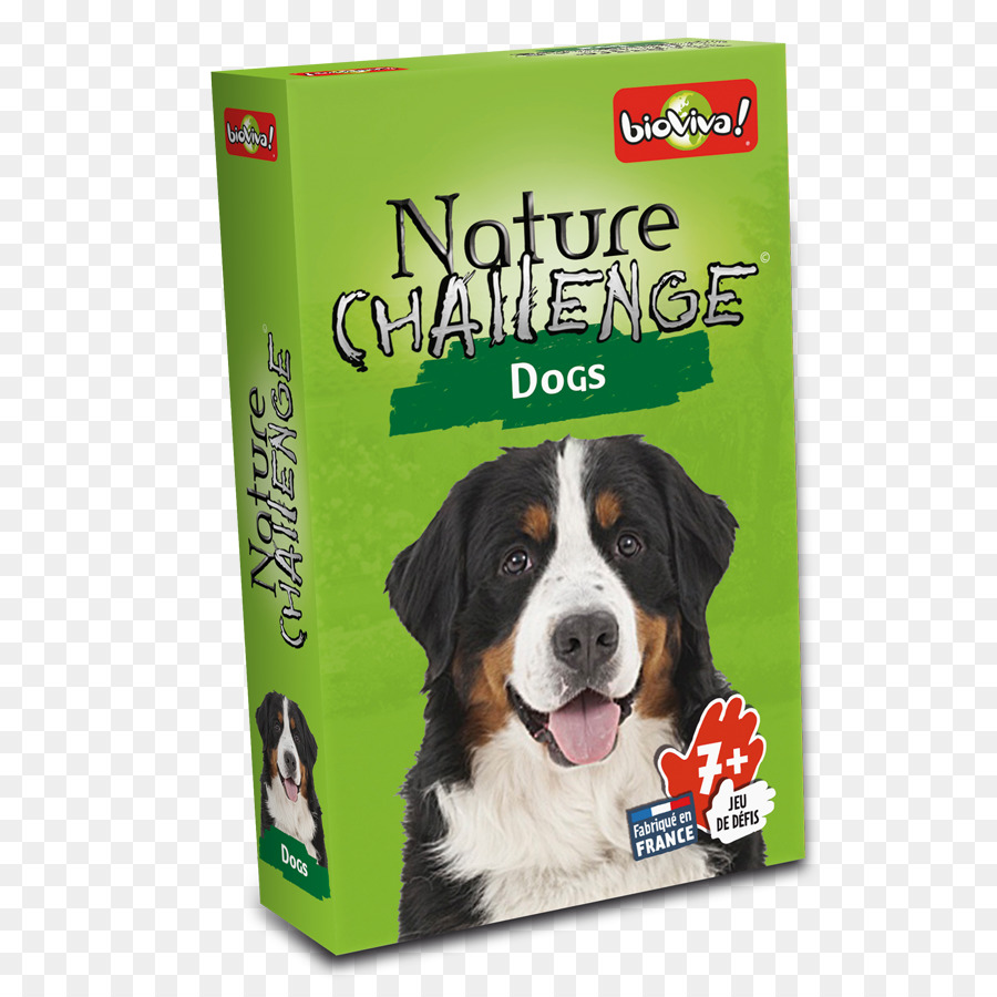 Desafios Da Natureza，Cachorro PNG