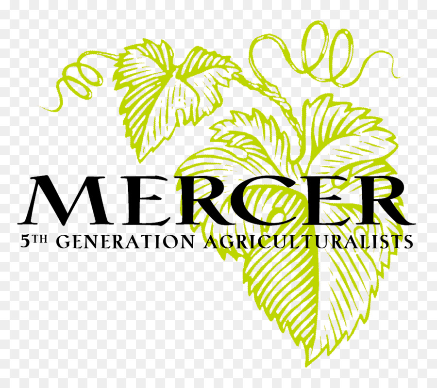 Propriedade Do Vinho De Mercer，Cabernet Sauvignon PNG