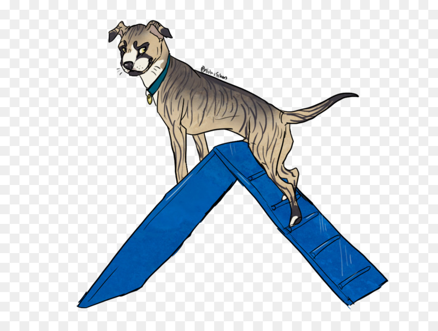 Raça Do Cão，Filhote De Cachorro PNG