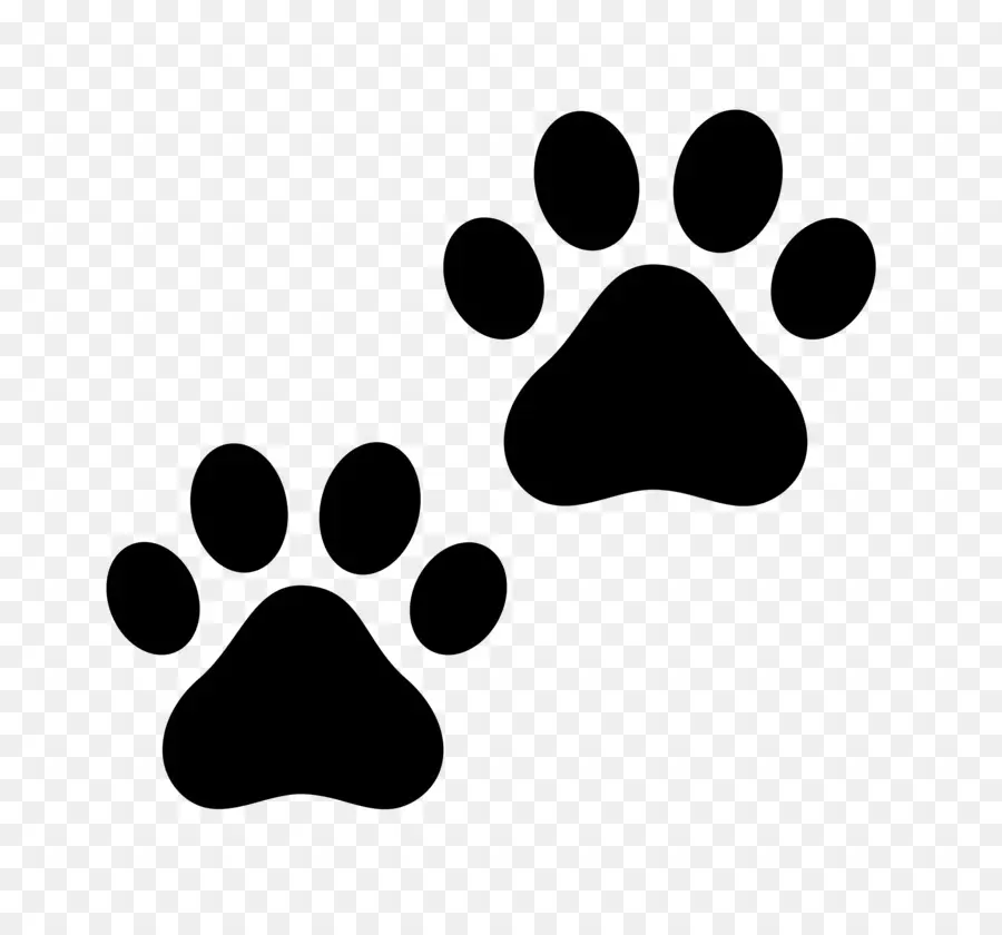 Impressões De Patas，Animal PNG