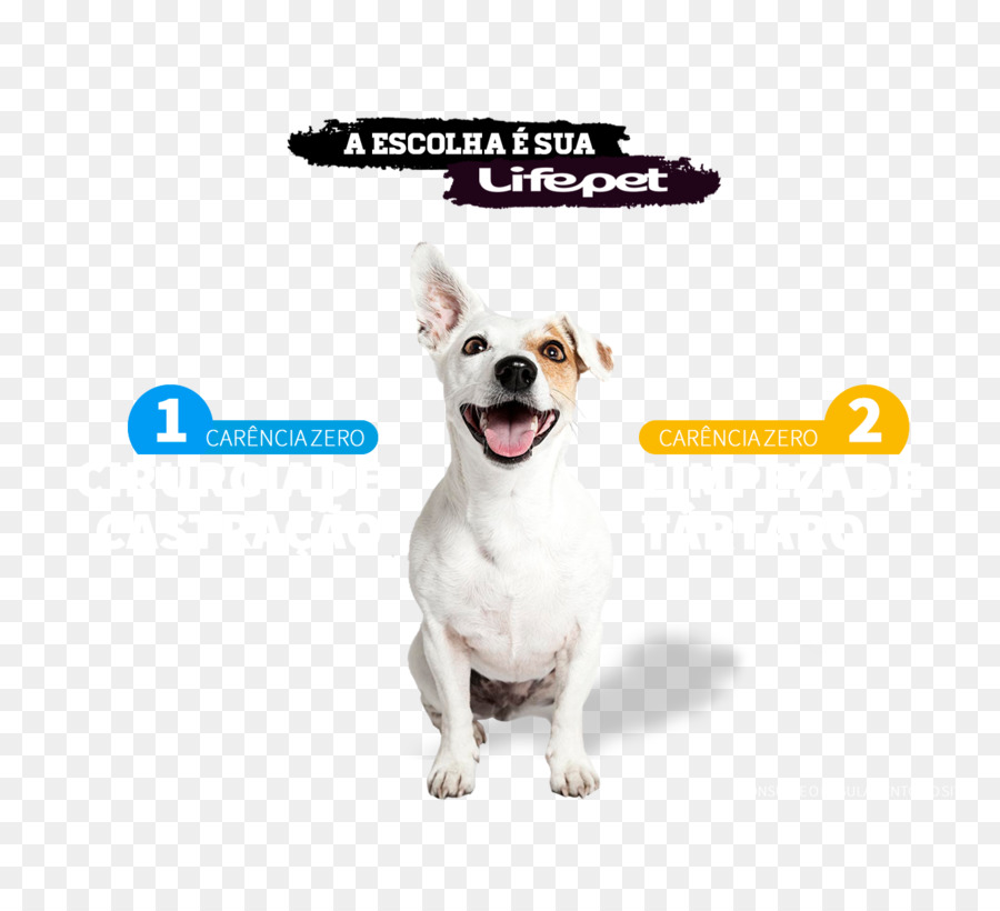 Raça Do Cão，Cachorro PNG