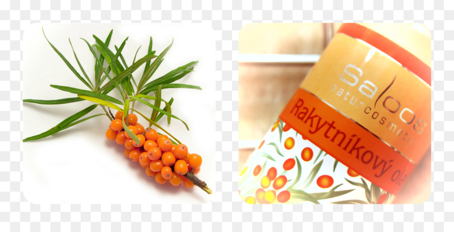 Seaberry，Sea Buckthorn óleo PNG