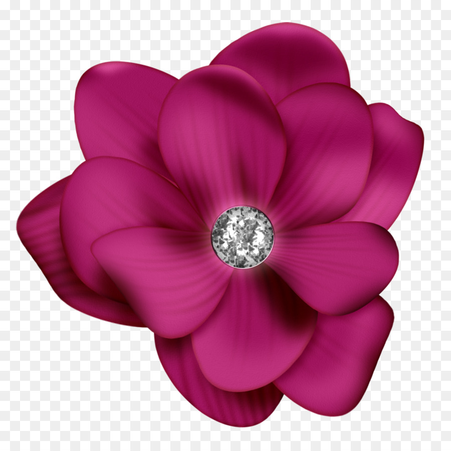 Flor Roxa，Florescer PNG