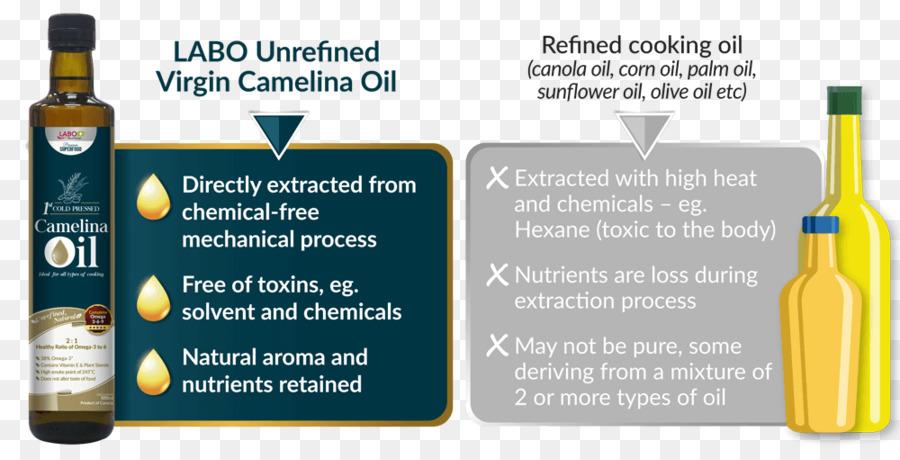 Camelina Sativa，óleo PNG