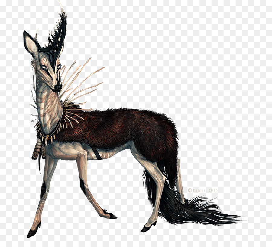 Canidae，Deer PNG