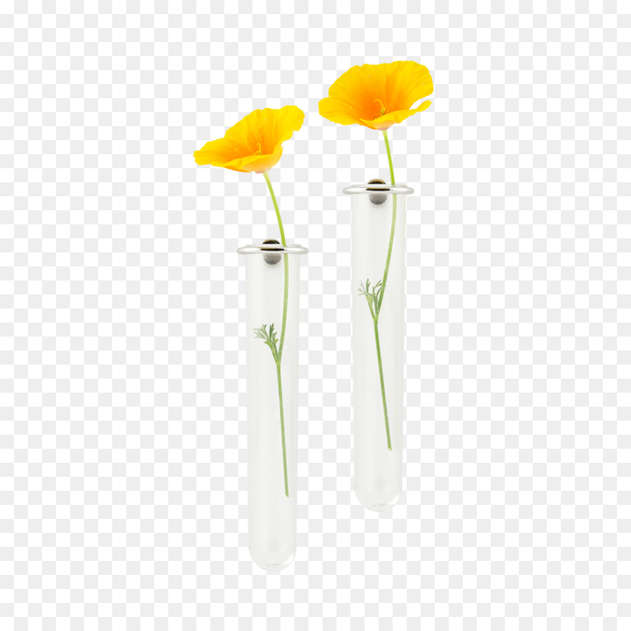 Flores De Corte，Vaso PNG