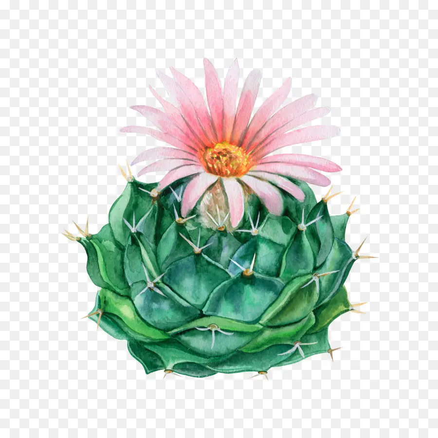 Pintura Em Aquarela，Flowerpot PNG