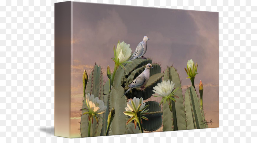 Citroën Cacto M，Cactaceae PNG