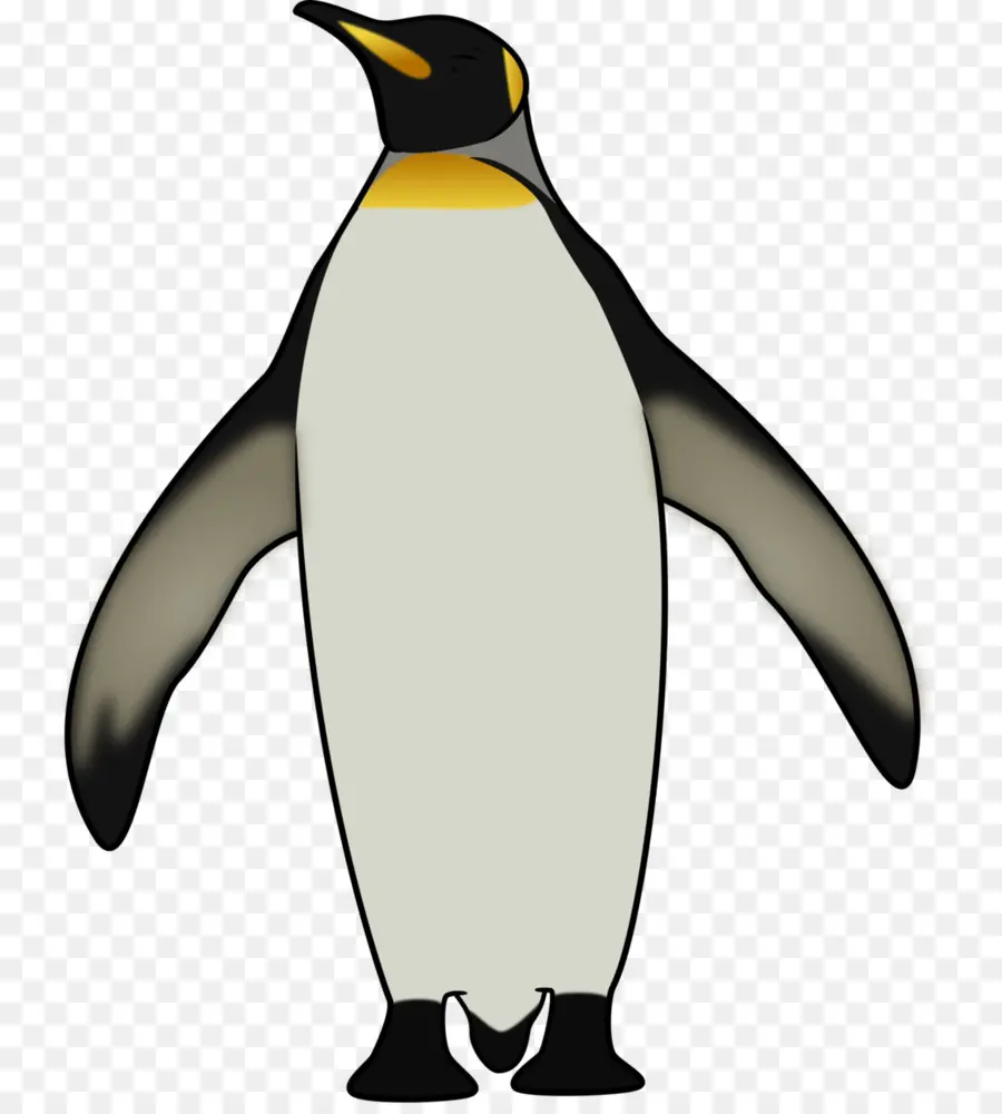 Pinguim Rei，Penguin PNG