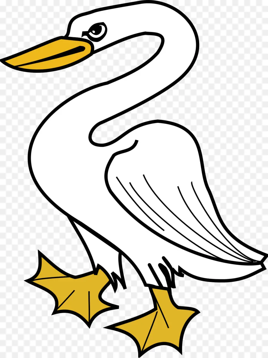 Cisne，Pássaro PNG