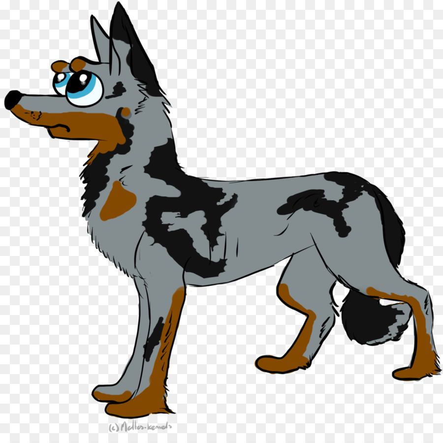 Lobo，Canino PNG