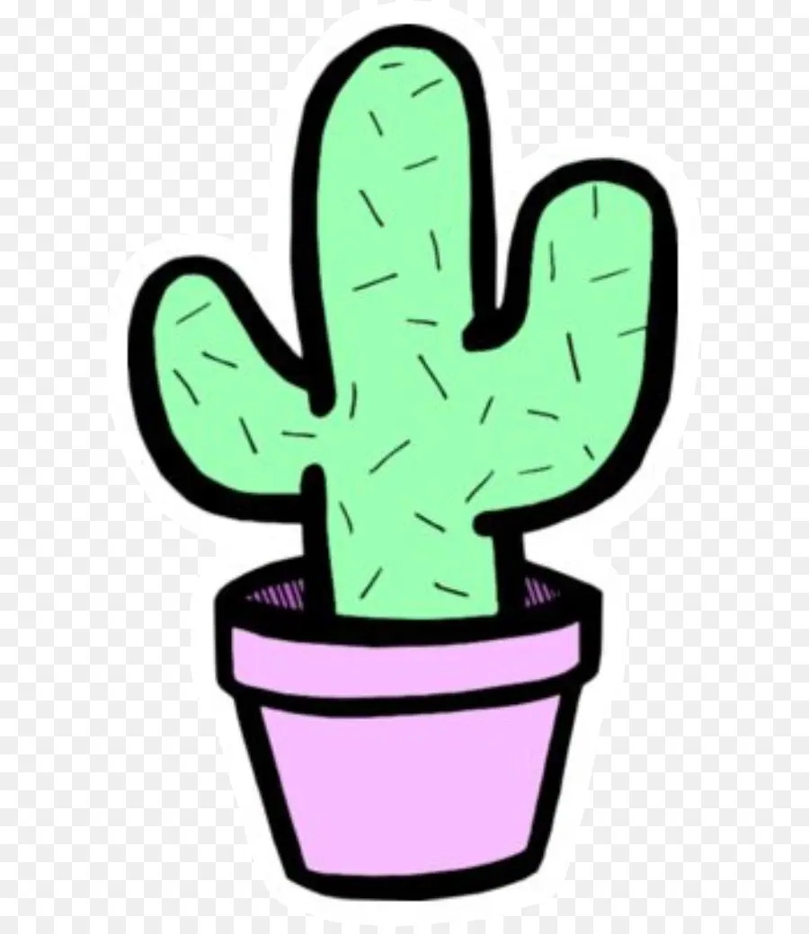 Adesivo，Cactaceae PNG