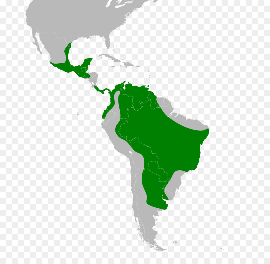 América Do Sul，Estados Unidos PNG