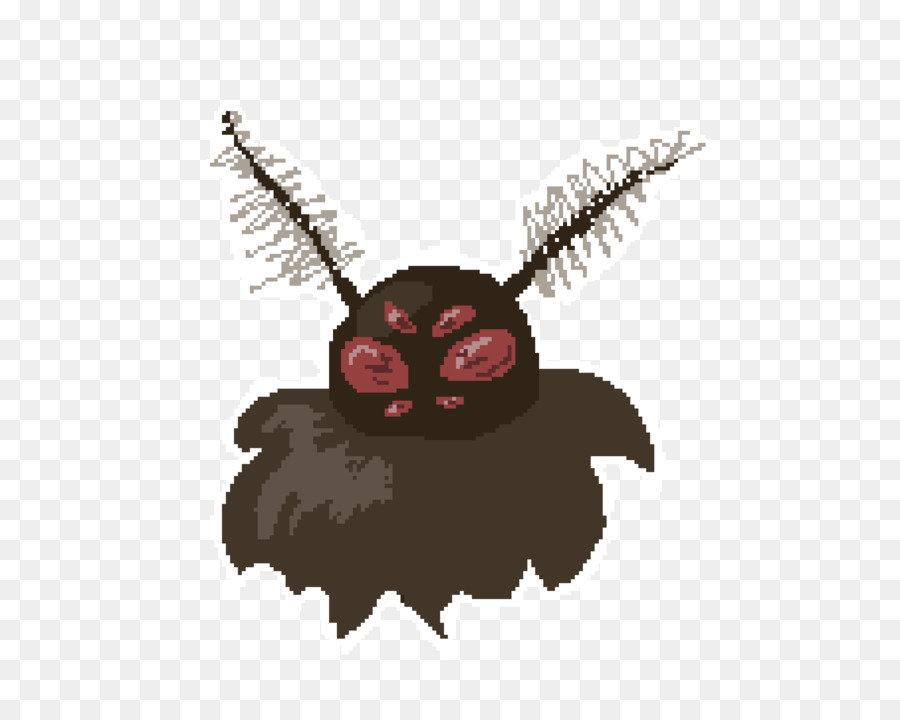 Inseto，Bat PNG