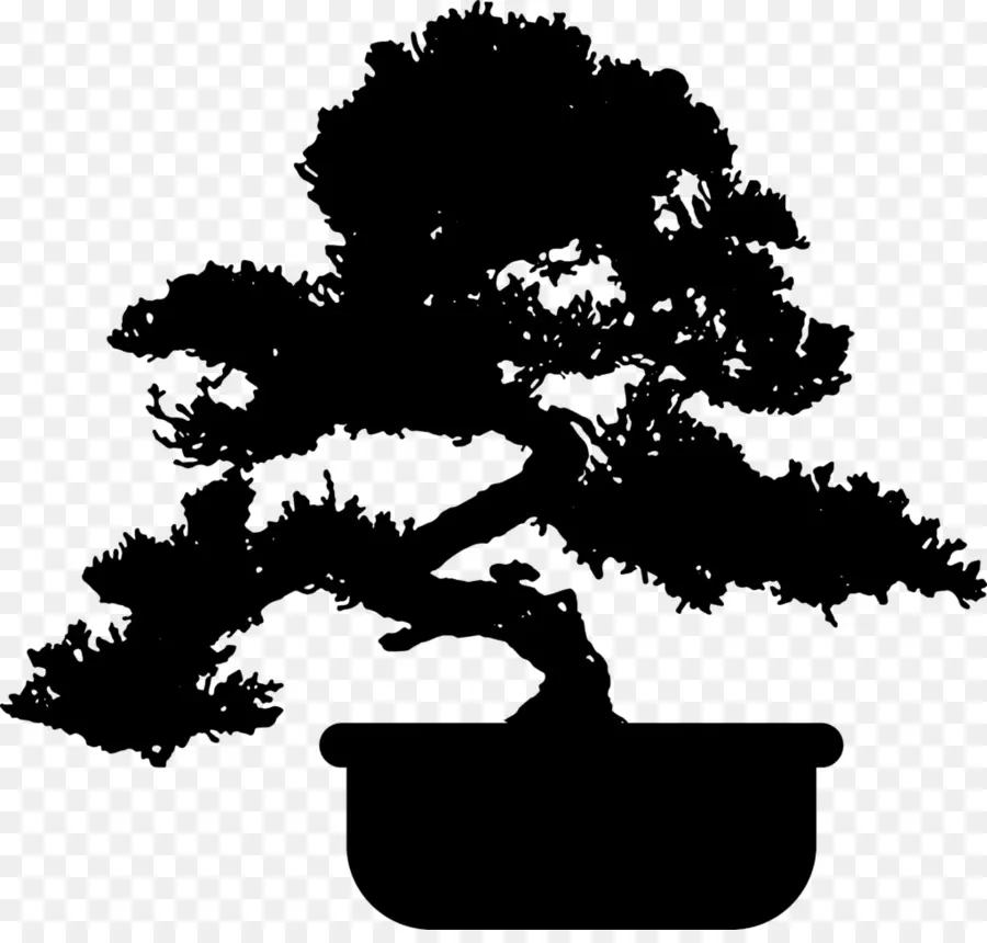 Árvore Bonsai，Silhueta PNG