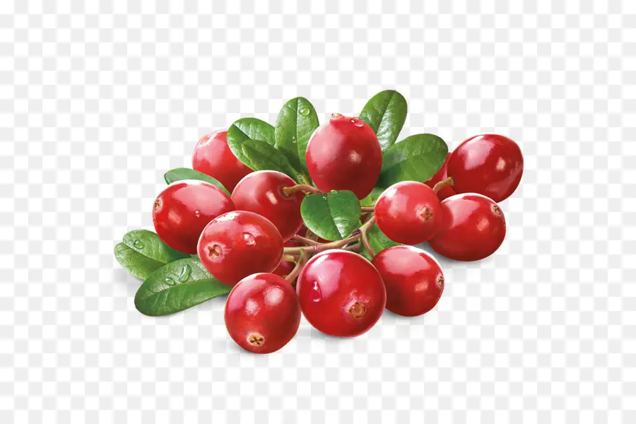 Barbados Cherry，Cranberry PNG