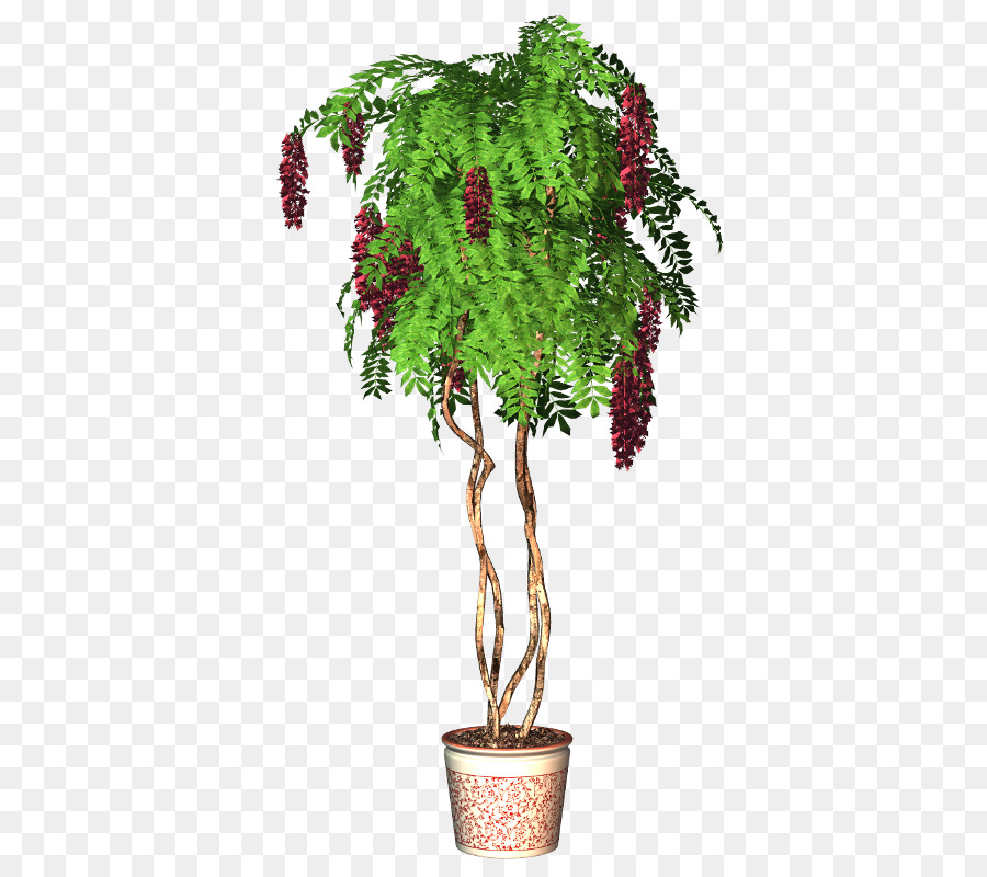 Plantar，Pote PNG