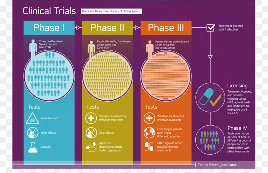 Ensaios Clínicos，Fases PNG