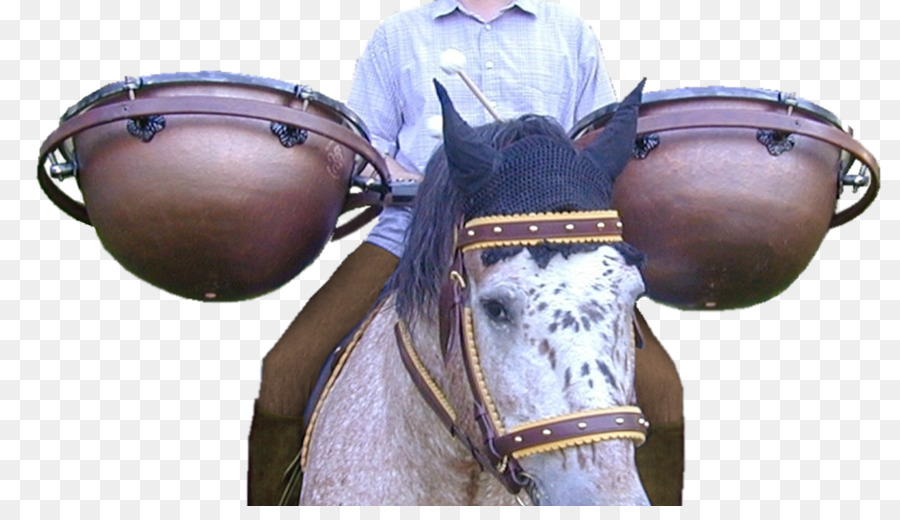 Cavalo Com Tambores，Cavaleiro PNG