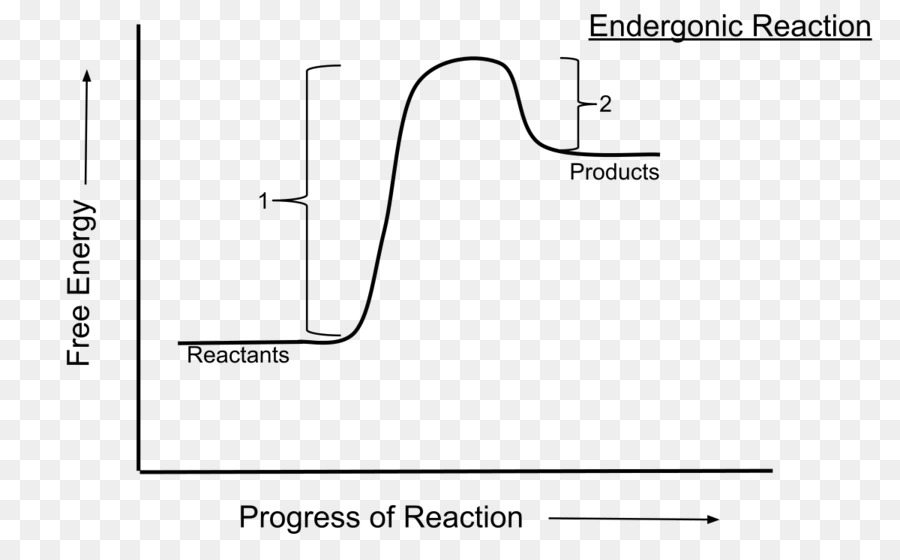 Reação Exergônica，Gráfico PNG