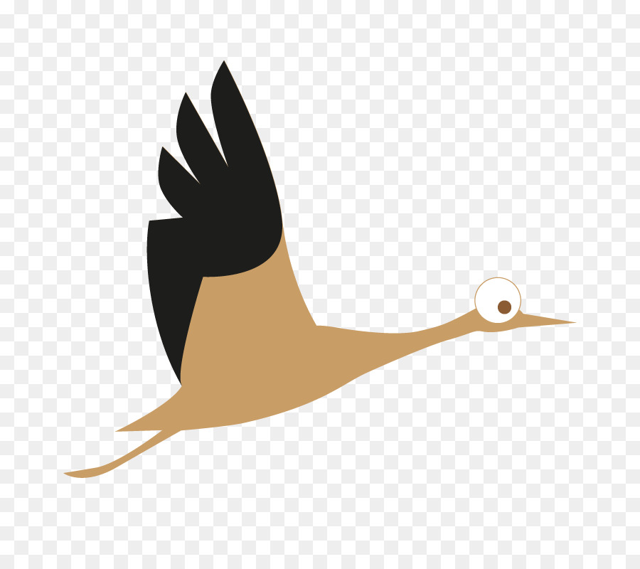 Aves，Ganso PNG