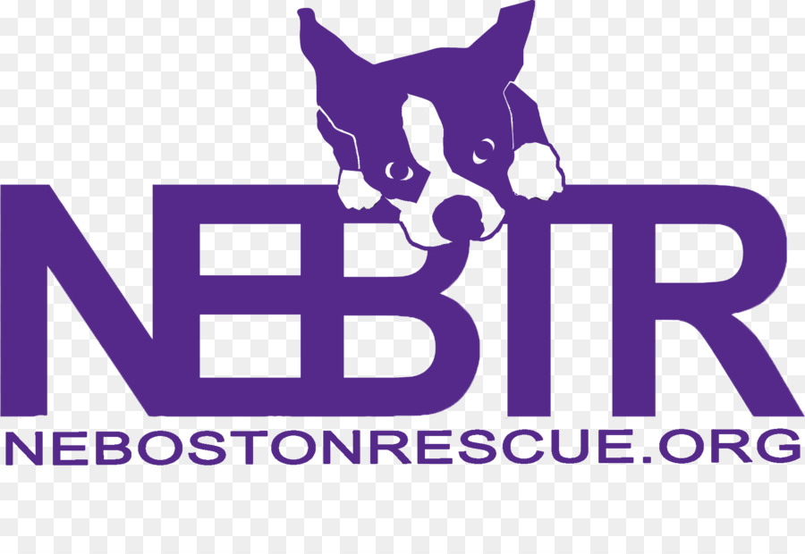 Boston Terrier，Gato PNG